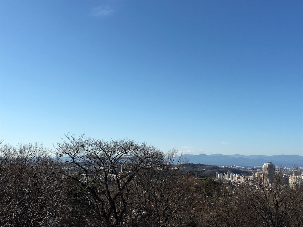 f:id:yakuwari:20160104192906j:image f:id:yakuwari:20160104192906j:image