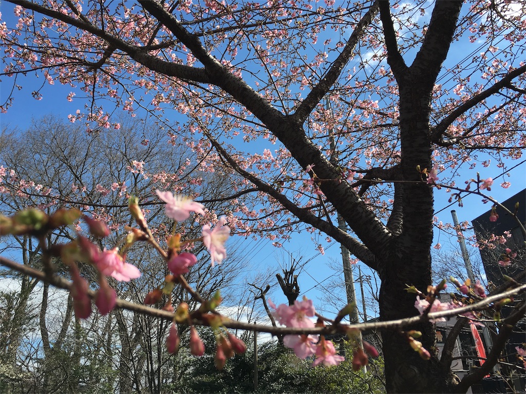 f:id:yakuwari:20160224193051j:image f:id:yakuwari:20160224193051j:image