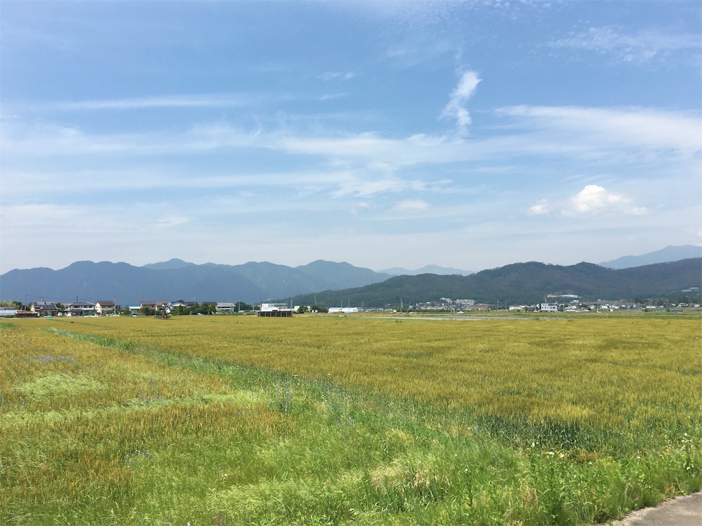 f:id:yakuwari:20160620210217j:image f:id:yakuwari:20160620210217j:image