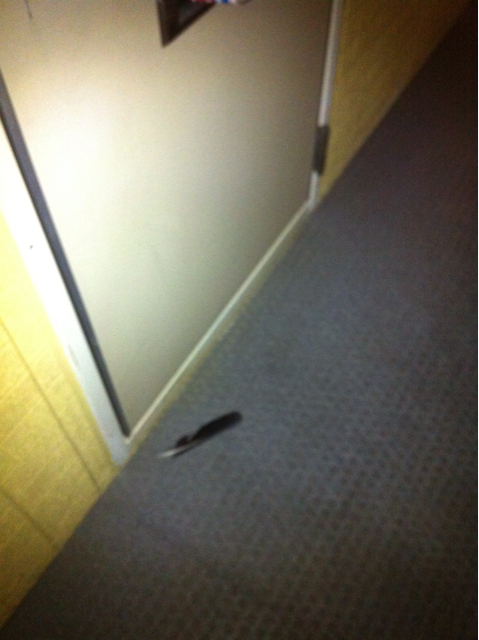 f:id:yama-ny:20130812210102j:plain f:id:yama-ny:20130812210102j:plain