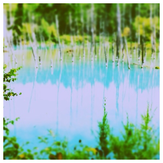 f:id:yama-ny:20130915211516j:plain f:id:yama-ny:20130915211516j:plain