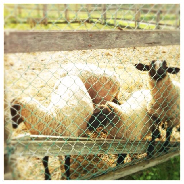 f:id:yama-ny:20130915211934j:plain f:id:yama-ny:20130915211934j:plain