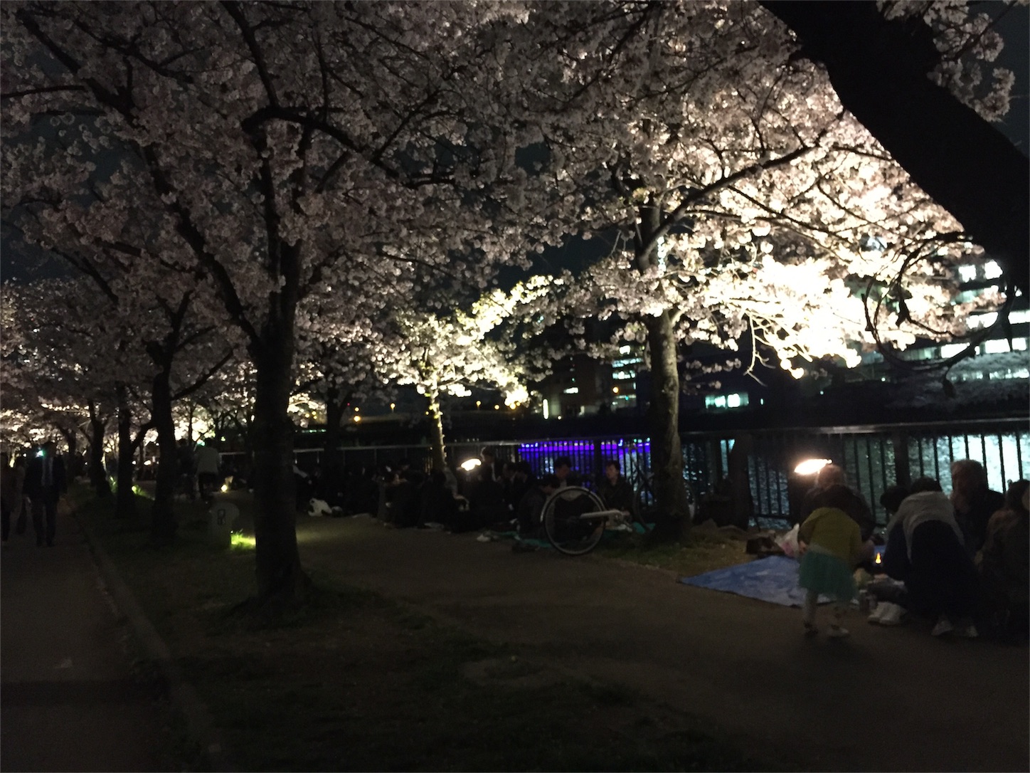 f:id:yama-sui:20160408233638j:image f:id:yama-sui:20160408233638j:image
