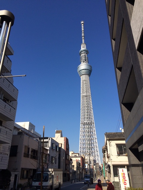 f:id:yama_kazu:20150124115032j:plain f:id:yama_kazu:20150124115032j:plain