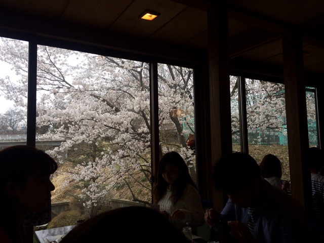 f:id:yama_kazu:20150412162045j:plain f:id:yama_kazu:20150412162045j:plain