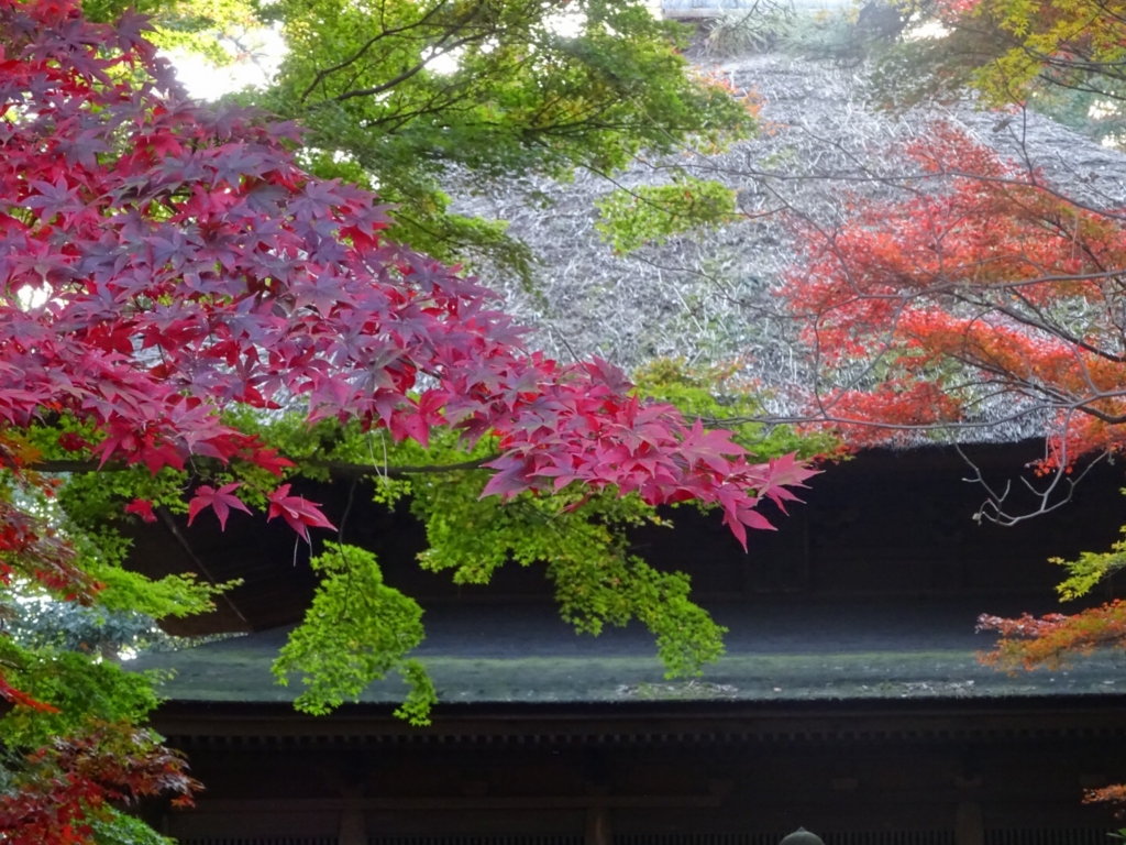 f:id:yamaboushitan:20151210172832j:plain f:id:yamaboushitan:20151210172832j:plain
