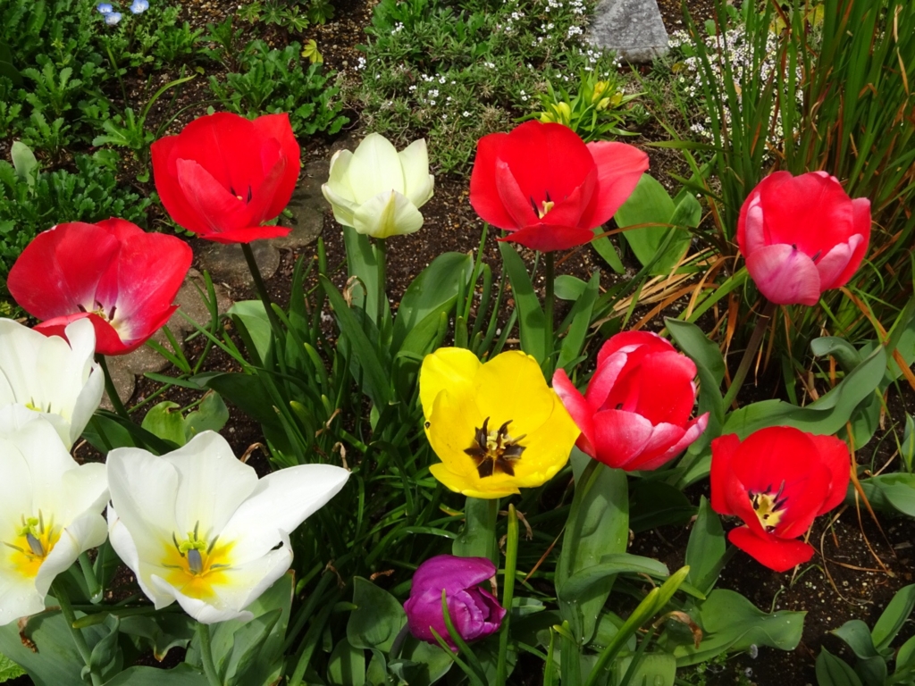 f:id:yamaboushitan:20160404173849j:plain f:id:yamaboushitan:20160404173849j:plain