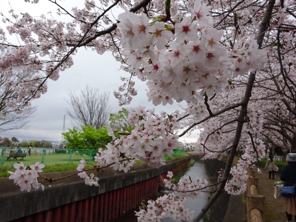 f:id:yamaboushitan:20160406213900j:plain f:id:yamaboushitan:20160406213900j:plain