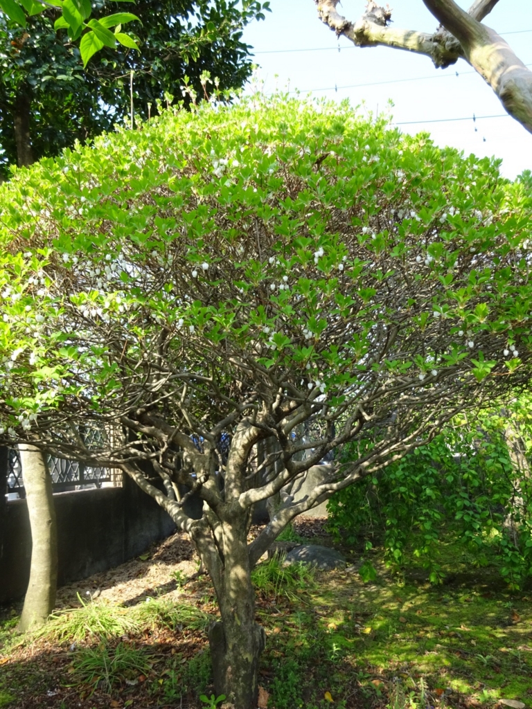 f:id:yamaboushitan:20160418195212j:plain f:id:yamaboushitan:20160418195212j:plain