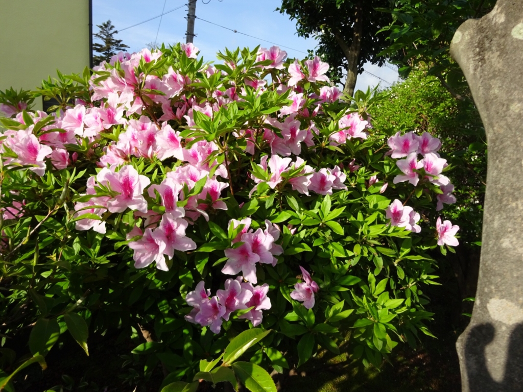 f:id:yamaboushitan:20160418202840j:plain f:id:yamaboushitan:20160418202840j:plain
