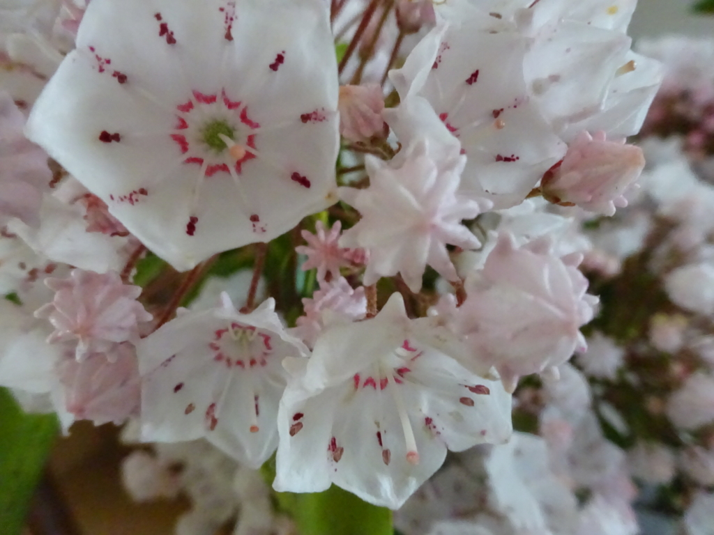 f:id:yamaboushitan:20160603230118j:plain f:id:yamaboushitan:20160603230118j:plain