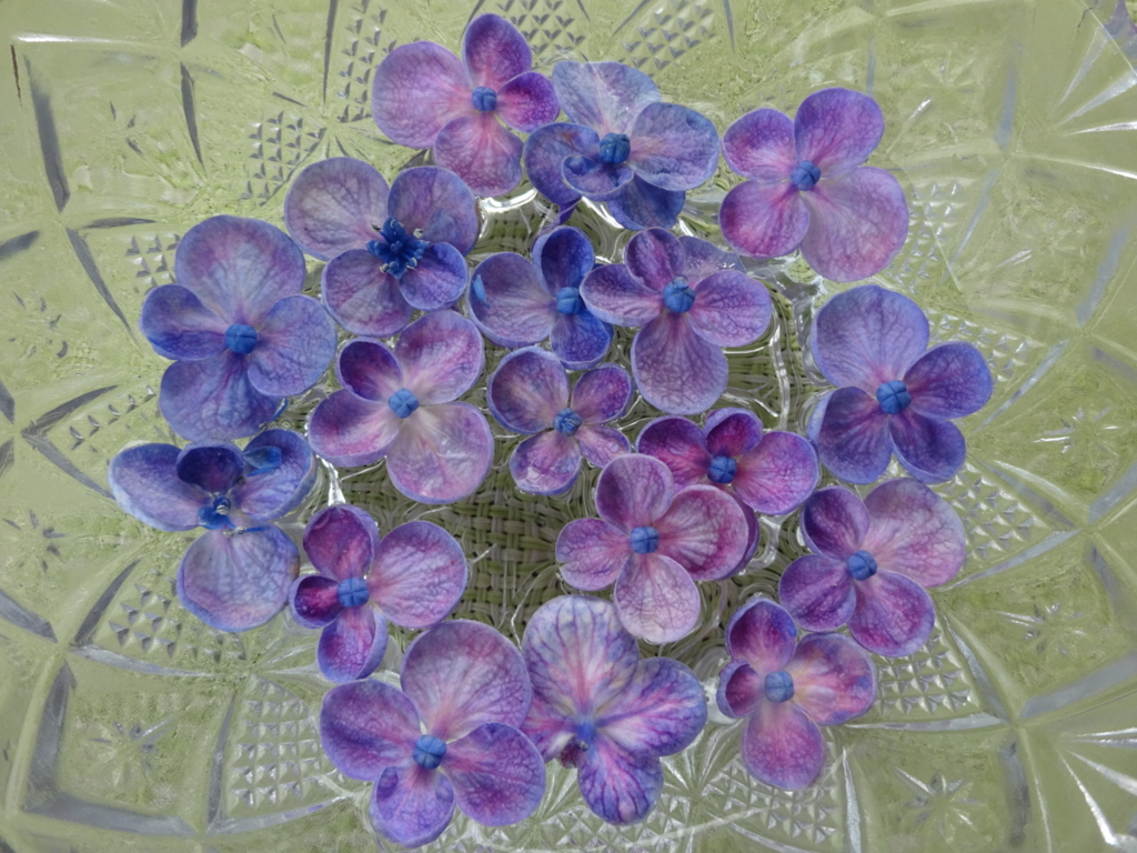 f:id:yamaboushitan:20160611175431j:plain f:id:yamaboushitan:20160611175431j:plain