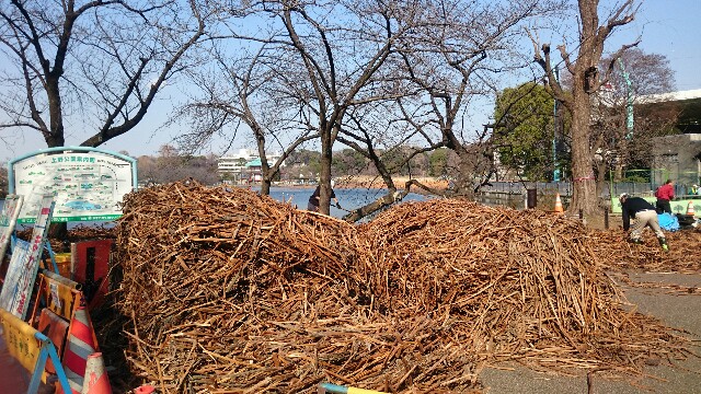 f:id:yamada-e:20160304100750j:image f:id:yamada-e:20160304100750j:image