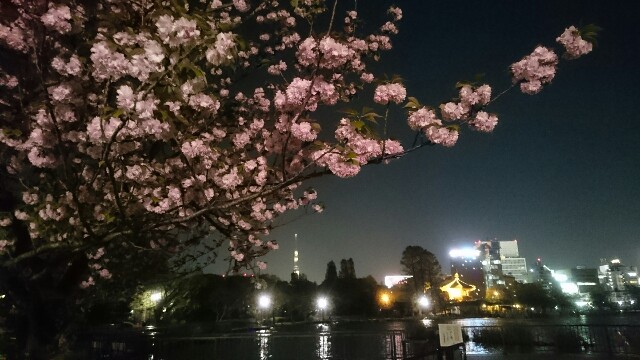 f:id:yamada-e:20160420092537j:image f:id:yamada-e:20160420092537j:image