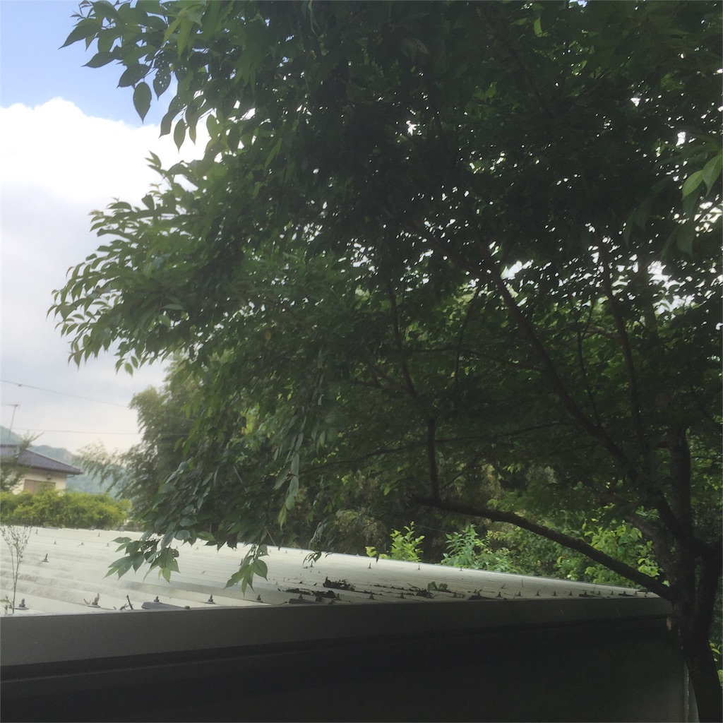 f:id:yamakuniaozora:20160526194048j:image f:id:yamakuniaozora:20160526194048j:image
