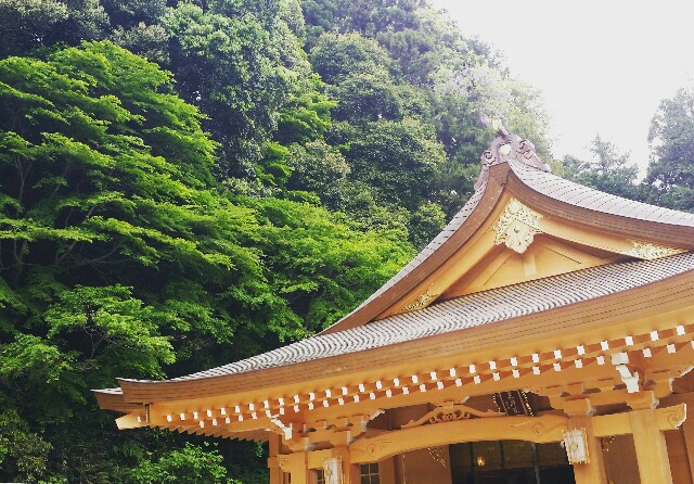 f:id:yamamechandayo:20160504190434j:image f:id:yamamechandayo:20160504190434j:image