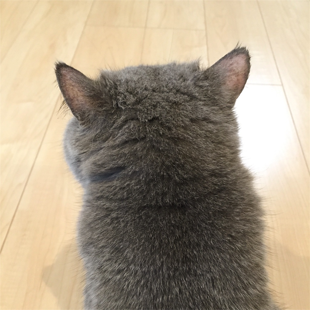 f:id:yamamotoari:20160429235447j:image f:id:yamamotoari:20160429235447j:image