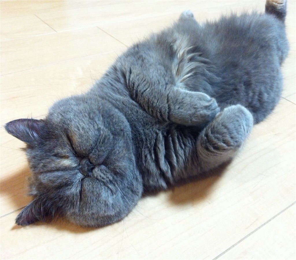 f:id:yamamotoari:20160430000634j:image f:id:yamamotoari:20160430000634j:image