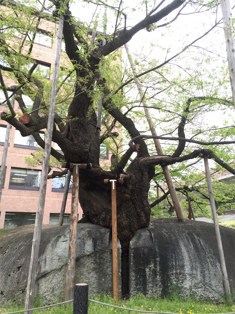 f:id:yamamotoari:20160504181442j:image f:id:yamamotoari:20160504181442j:image