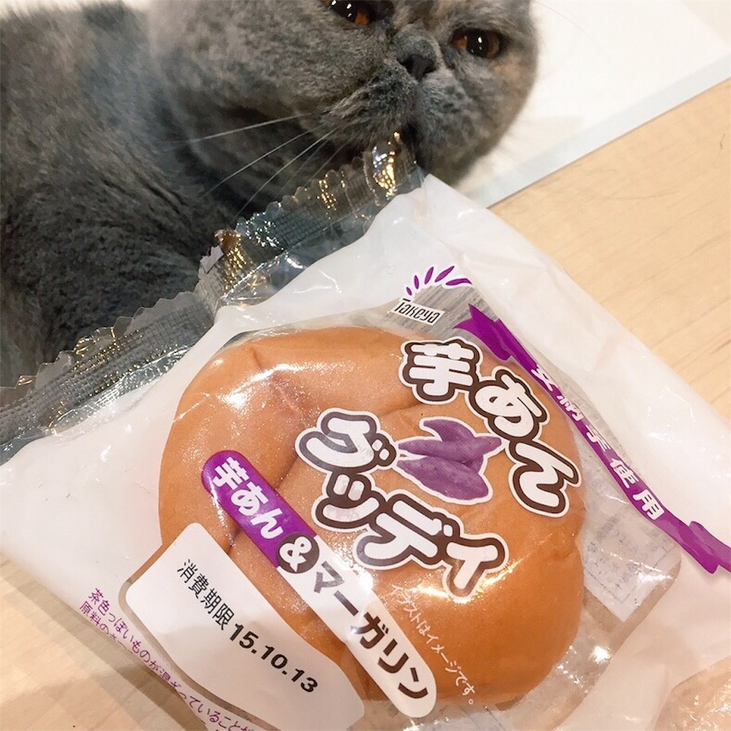 f:id:yamamotoari:20160507161704j:image f:id:yamamotoari:20160507161704j:image