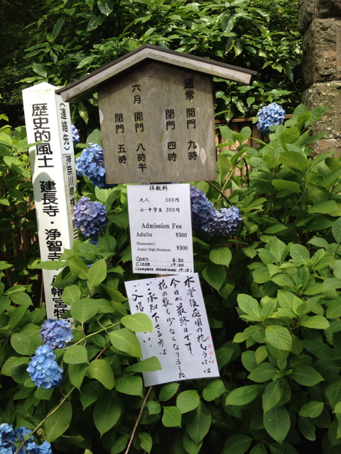 f:id:yamamotosystem:20130617231039j:plain f:id:yamamotosystem:20130617231039j:plain