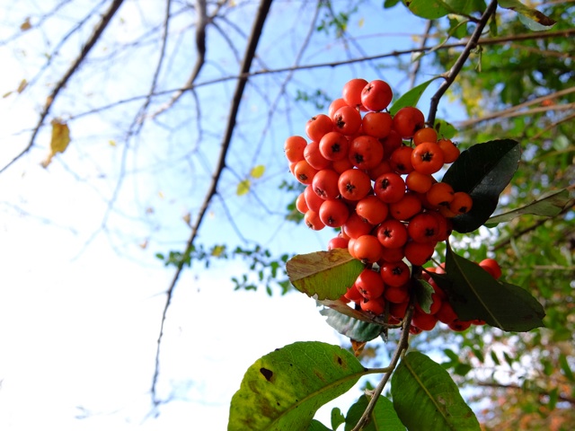 f:id:yamamotosystem:20131208140713j:plain f:id:yamamotosystem:20131208140713j:plain