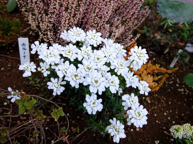 f:id:yamamotosystem:20131208140935j:plain f:id:yamamotosystem:20131208140935j:plain