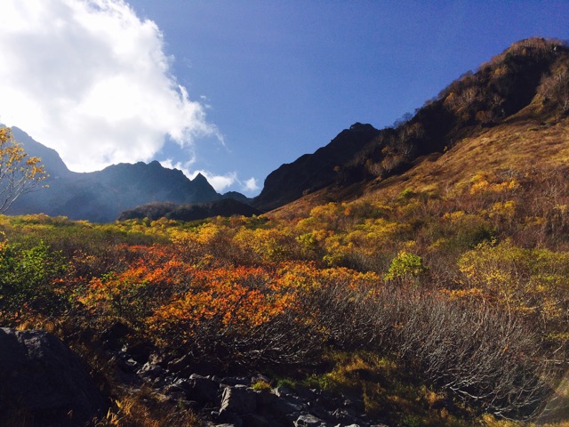 f:id:yamanomad:20141013200740j:plain f:id:yamanomad:20141013200740j:plain