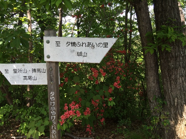 f:id:yamanomad:20150511000014j:image f:id:yamanomad:20150511000014j:image