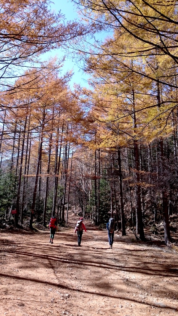 f:id:yamanomad:20151028210314j:image f:id:yamanomad:20151028210314j:image
