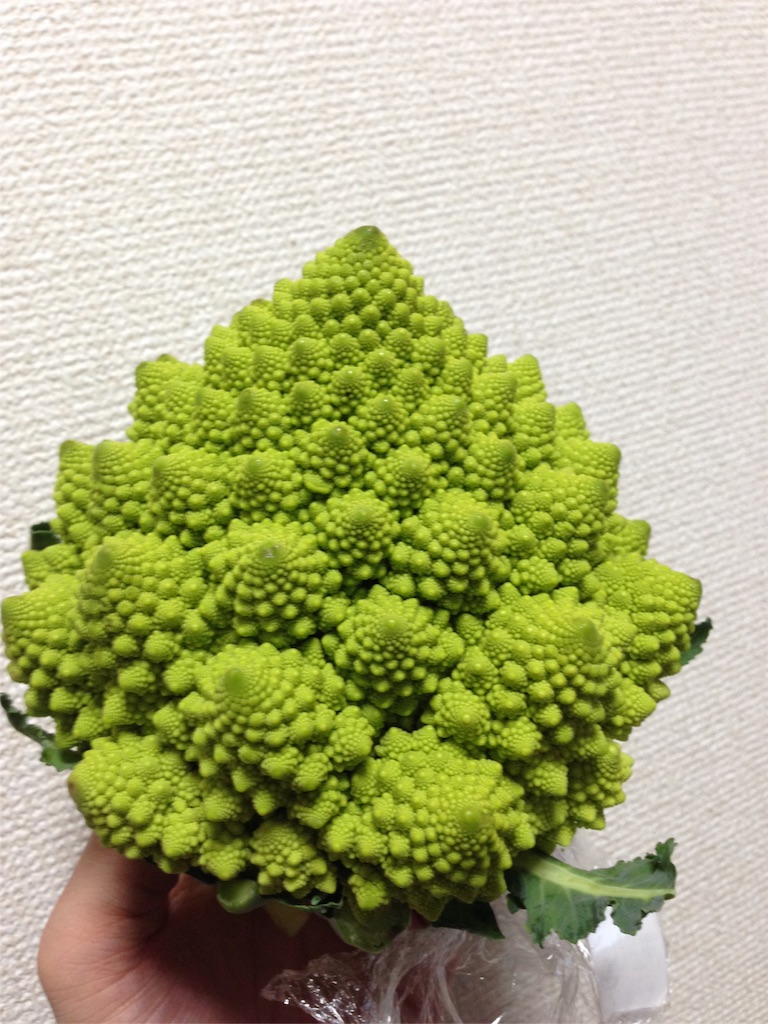 f:id:yamasho2:20160206235952j:image f:id:yamasho2:20160206235952j:image