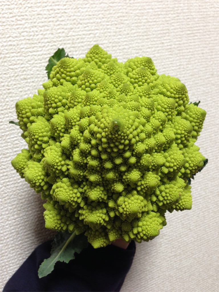 f:id:yamasho2:20160207000350j:image f:id:yamasho2:20160207000350j:image