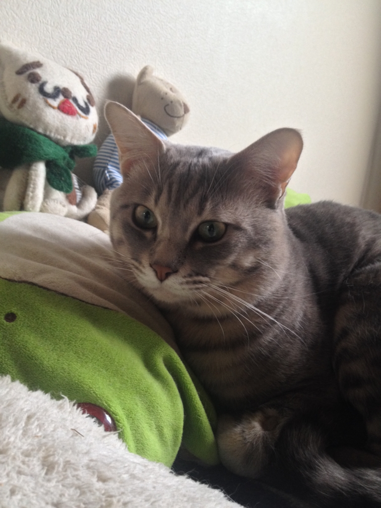 f:id:yamato1111:20160204170125j:plain