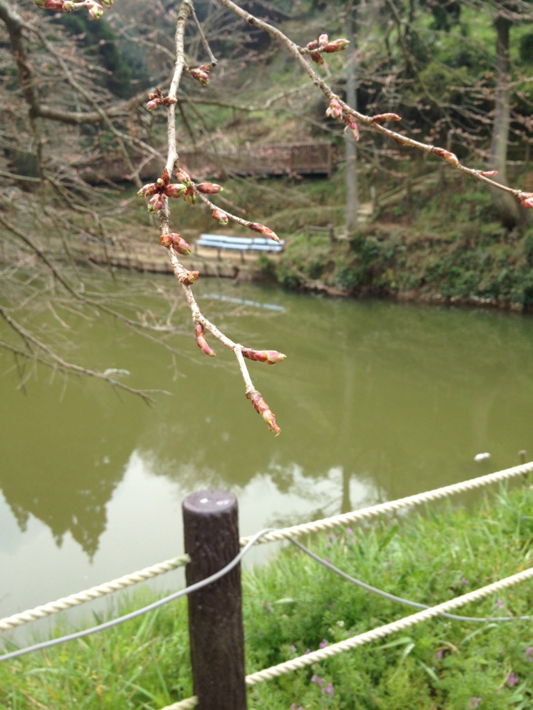 f:id:yamato1111:20160330163536j:plain f:id:yamato1111:20160330163536j:plain