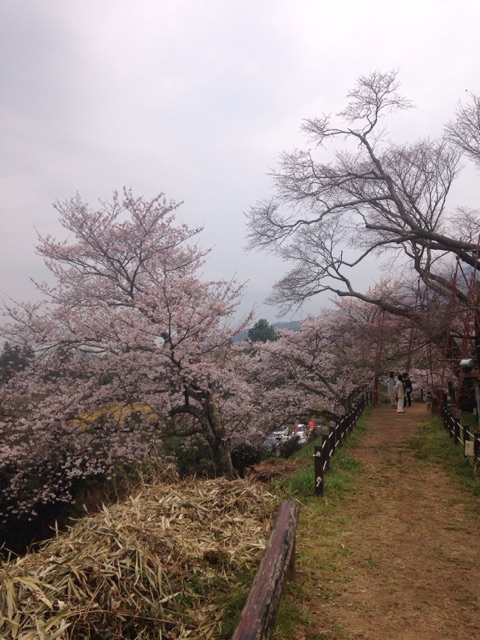 f:id:yamato1111:20160330163726j:plain f:id:yamato1111:20160330163726j:plain