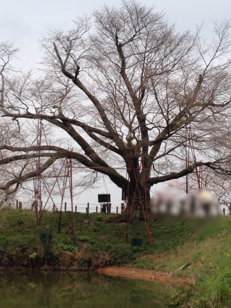 f:id:yamato1111:20160330163804p:plain f:id:yamato1111:20160330163804p:plain