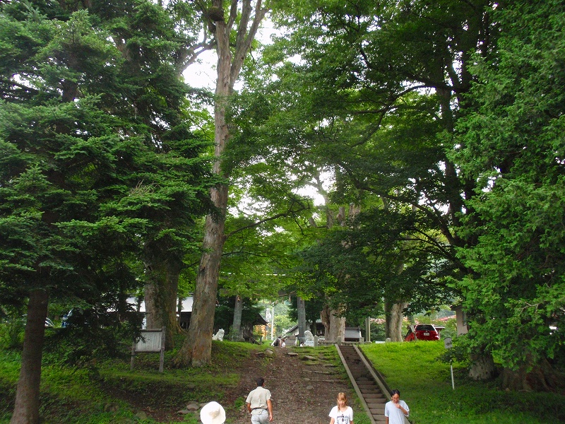 f:id:yamatsutsuji:20110115234349j:image