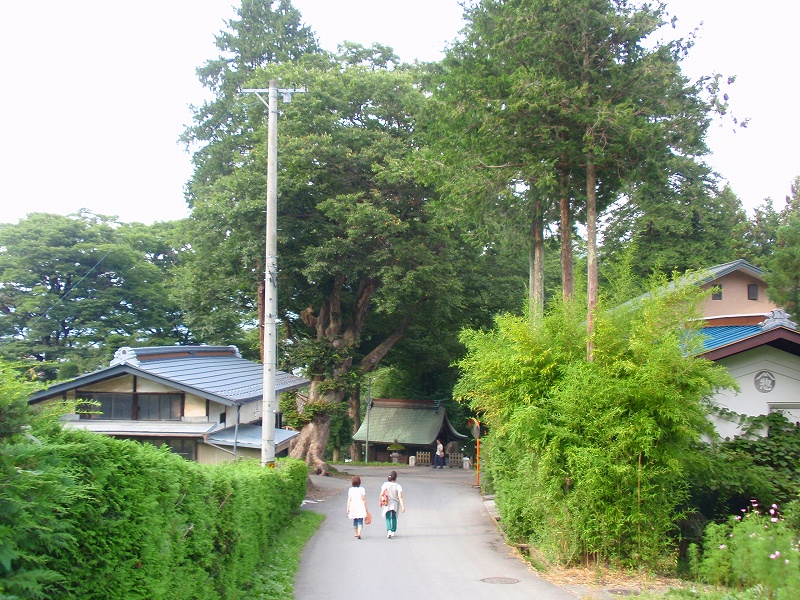 f:id:yamatsutsuji:20110116000838j:image