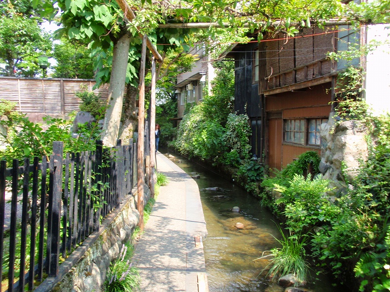 f:id:yamatsutsuji:20111116235948j:image f:id:yamatsutsuji:20111116235948j:image