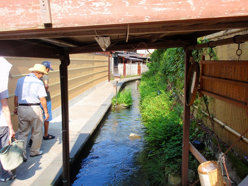 f:id:yamatsutsuji:20111117010735j:image f:id:yamatsutsuji:20111117010735j:image