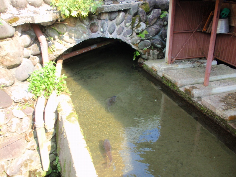 f:id:yamatsutsuji:20111117010736j:image f:id:yamatsutsuji:20111117010736j:image