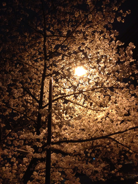 f:id:yamo3:20130329134917j:plain f:id:yamo3:20130329134917j:plain