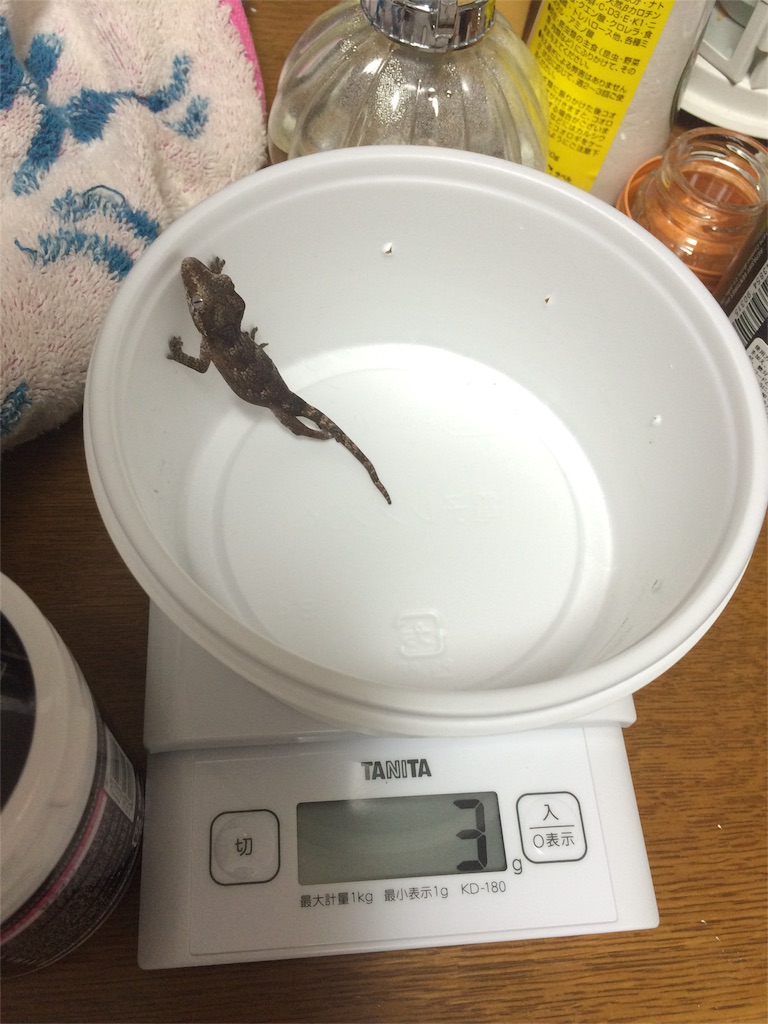 f:id:yamopeta:20151201220120j:image f:id:yamopeta:20151201220120j:image
