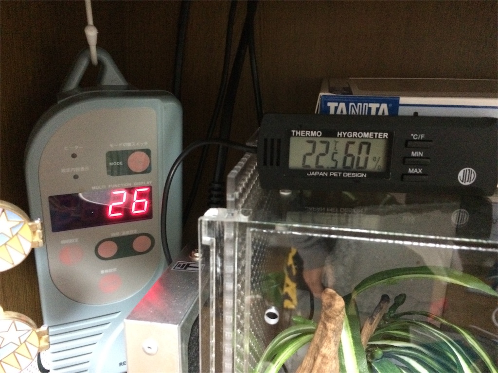 f:id:yamopeta:20151208004314j:image f:id:yamopeta:20151208004314j:image