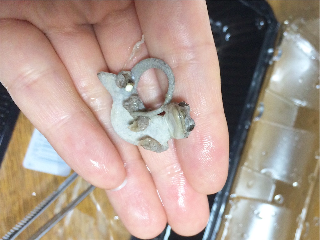 f:id:yamopeta:20151209010451j:image f:id:yamopeta:20151209010451j:image