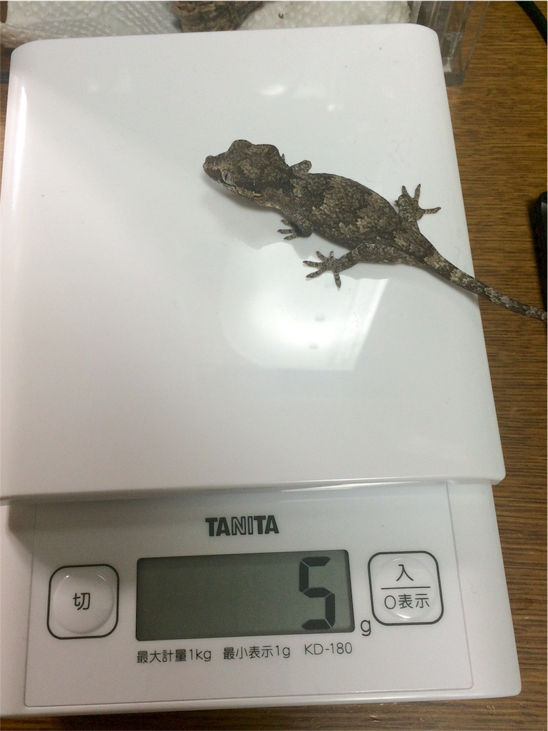 f:id:yamopeta:20151222230648j:image f:id:yamopeta:20151222230648j:image