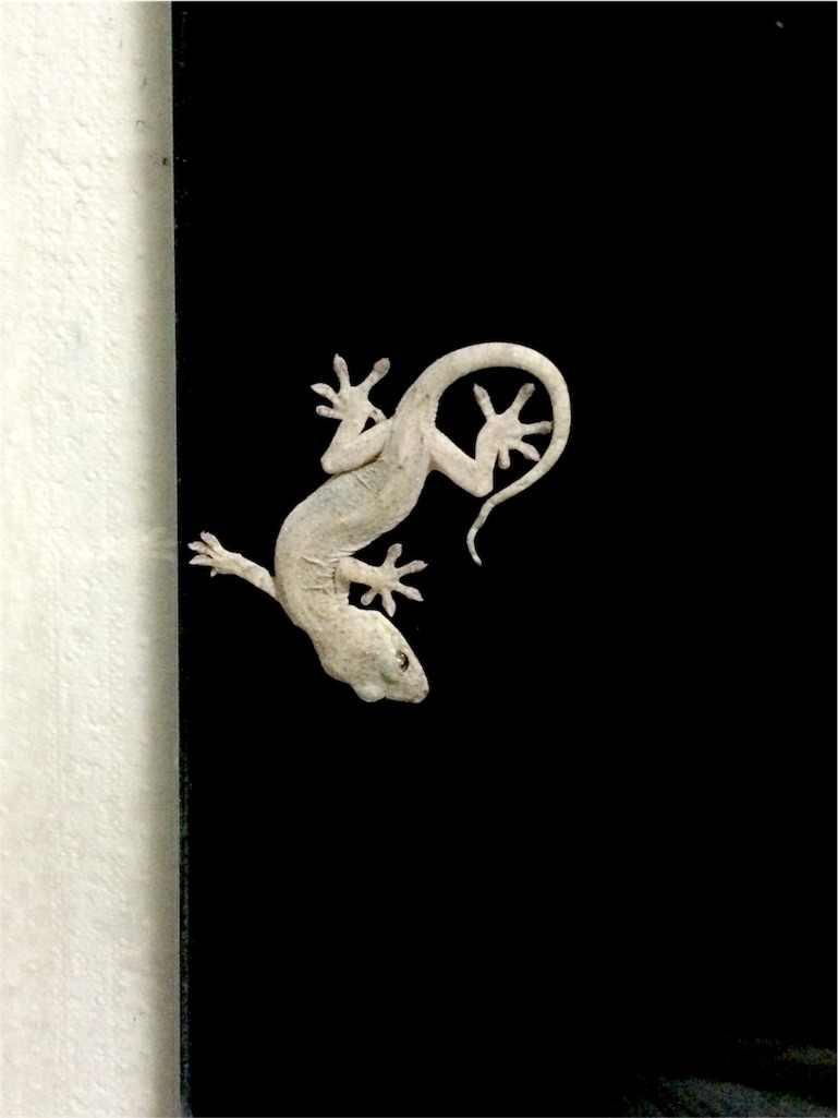 f:id:yamopeta:20160104075340j:image f:id:yamopeta:20160104075340j:image