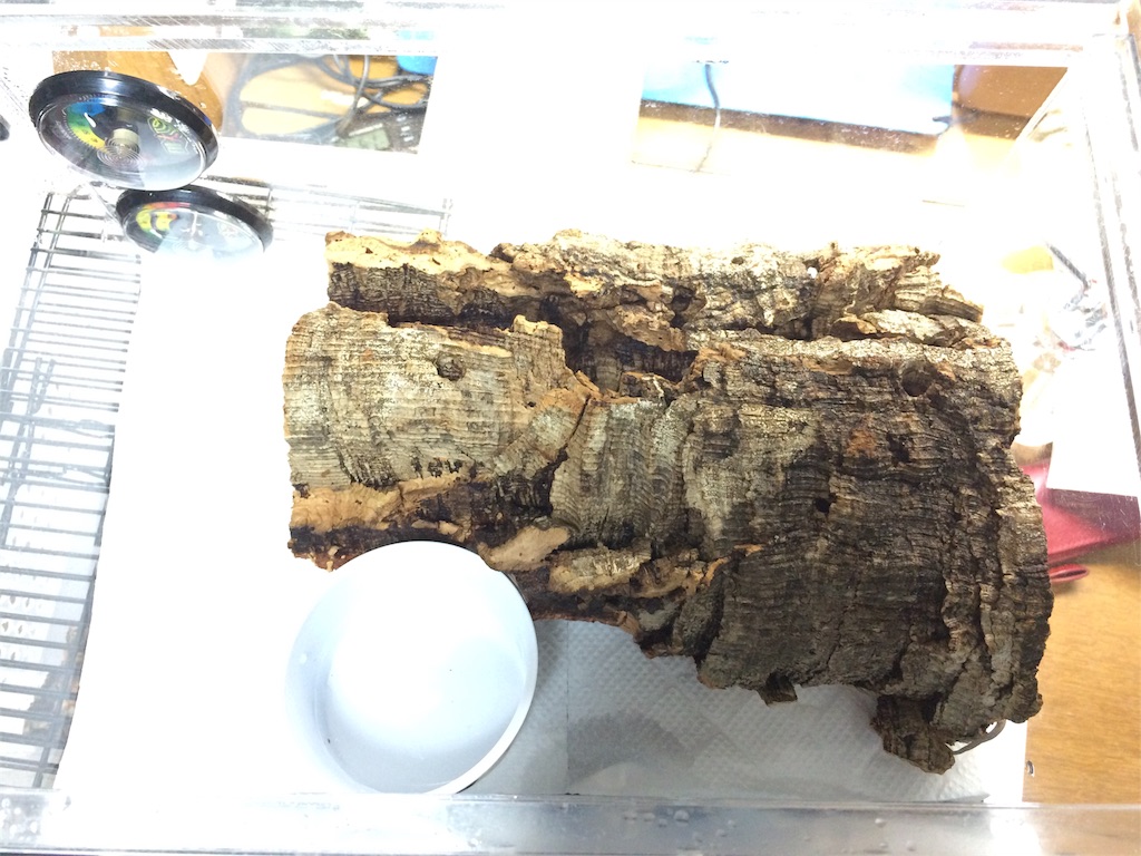 f:id:yamopeta:20160118181516j:image f:id:yamopeta:20160118181516j:image