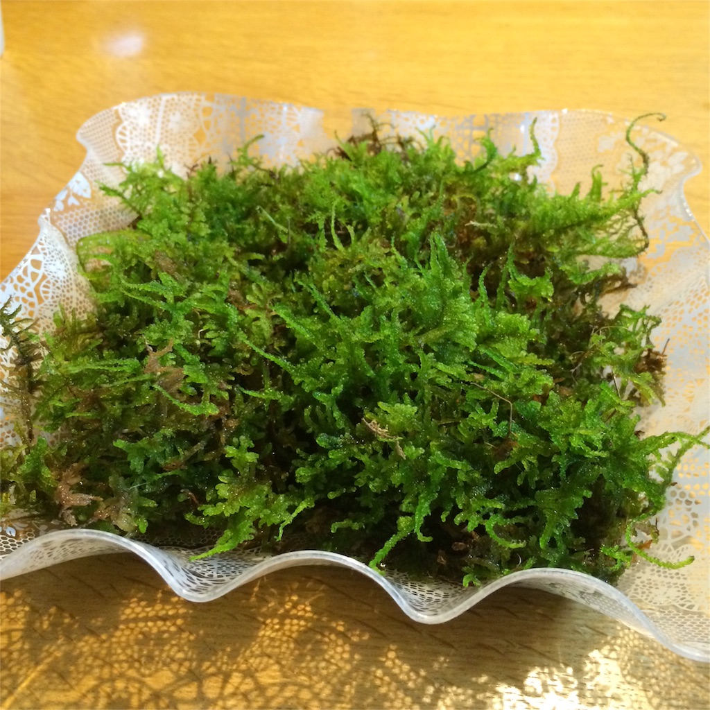 f:id:yamopeta:20160205015825j:image f:id:yamopeta:20160205015825j:image
