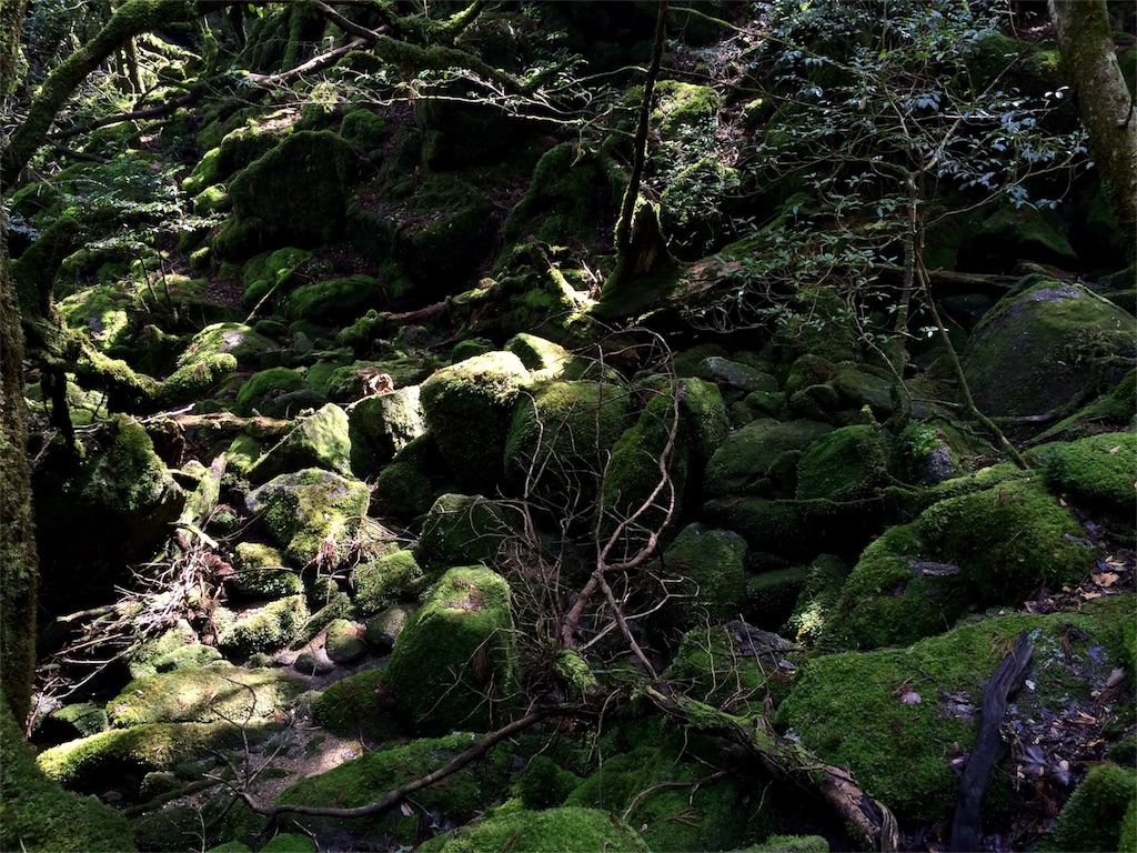 f:id:yamopeta:20160315193435j:image f:id:yamopeta:20160315193435j:image